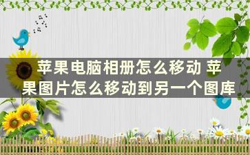 苹果电脑相册怎么移动 苹果图片怎么移动到另一个图库